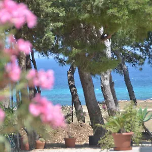 Appartamento Pineta Sul Mare, Castelluzzo